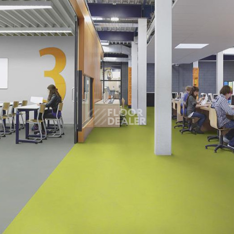 Forbo Marmoleum Decibel on Order 374235 green glow фото 3 | FLOORDEALER